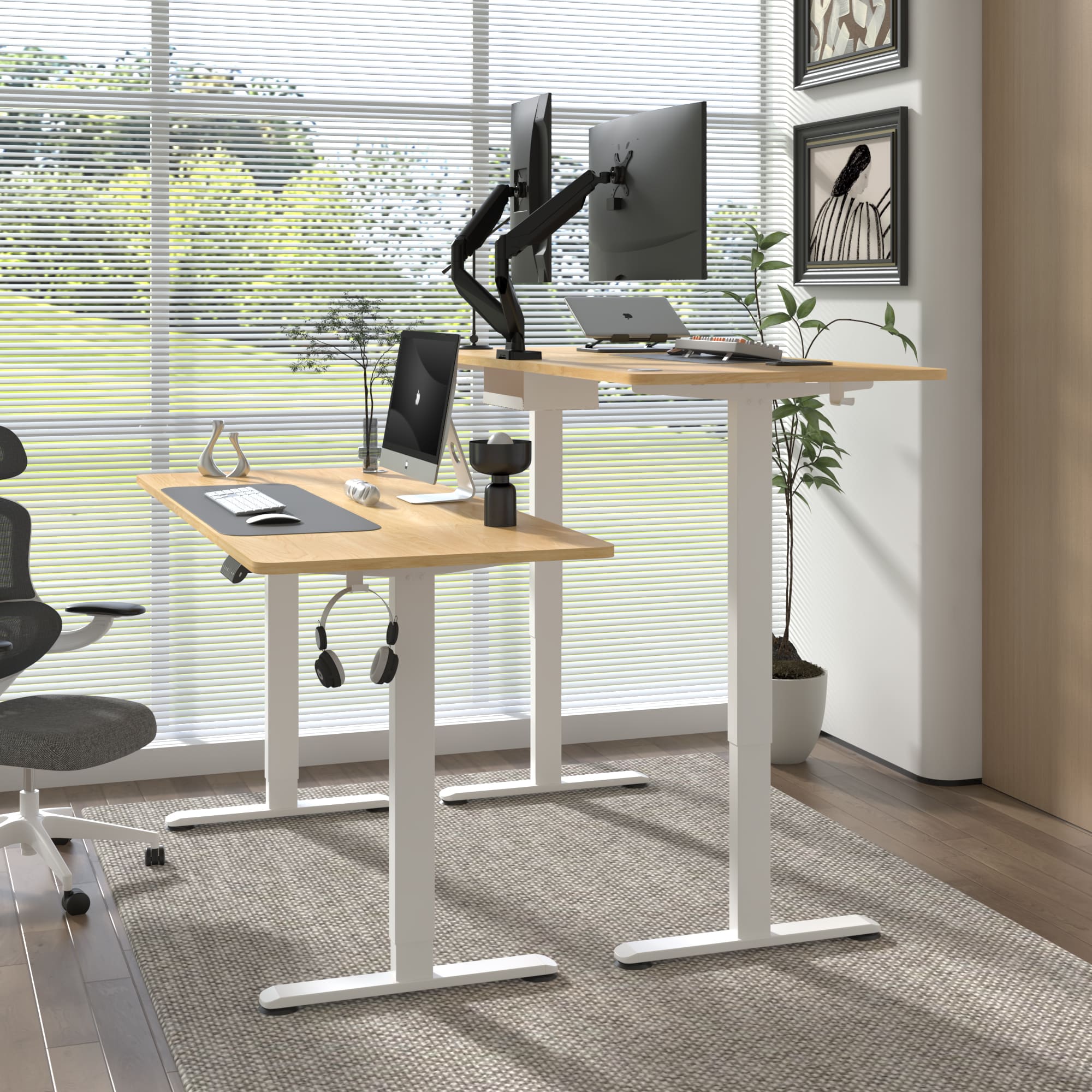 Economy Bureau assis debout électrique