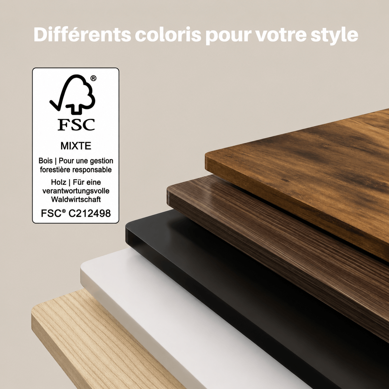 Dual Ultra Bureau assis-debout électrique premium