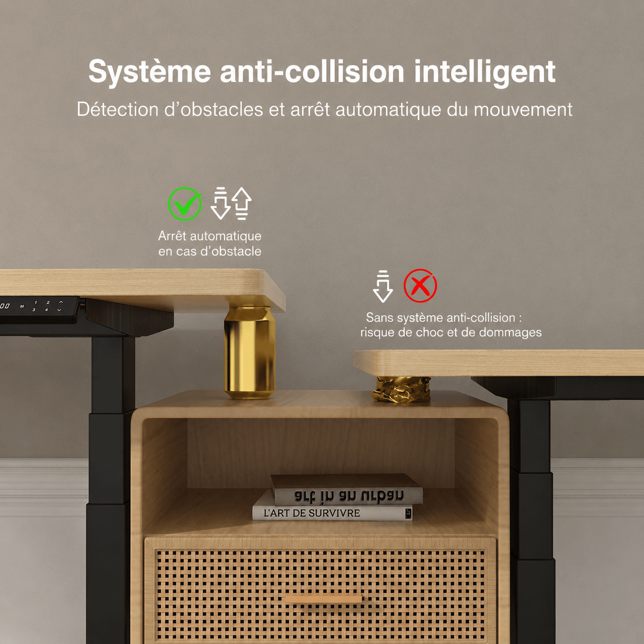 Dual Ultra X Bureau assis-debout électrique premium