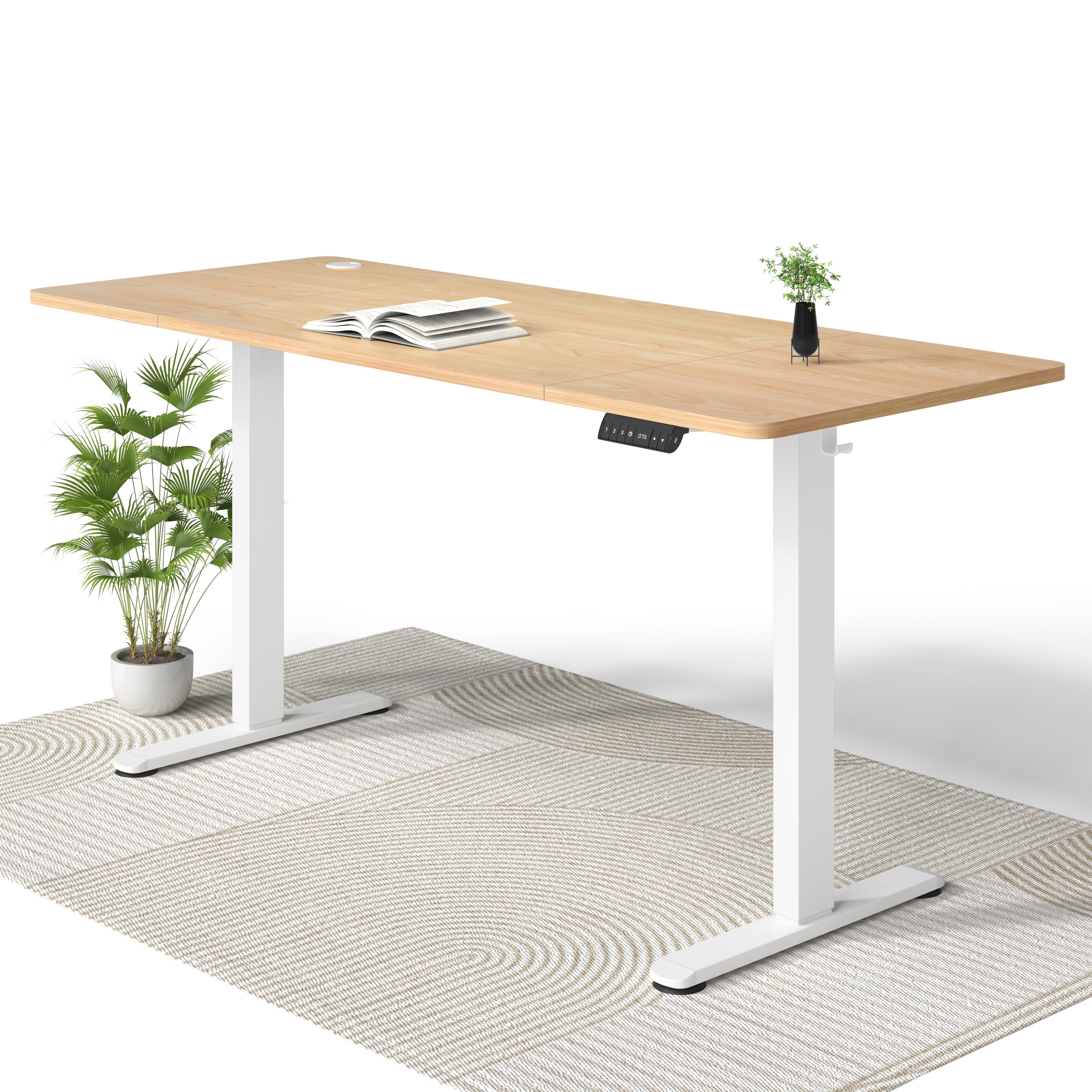 Economy Bureau assis debout électrique