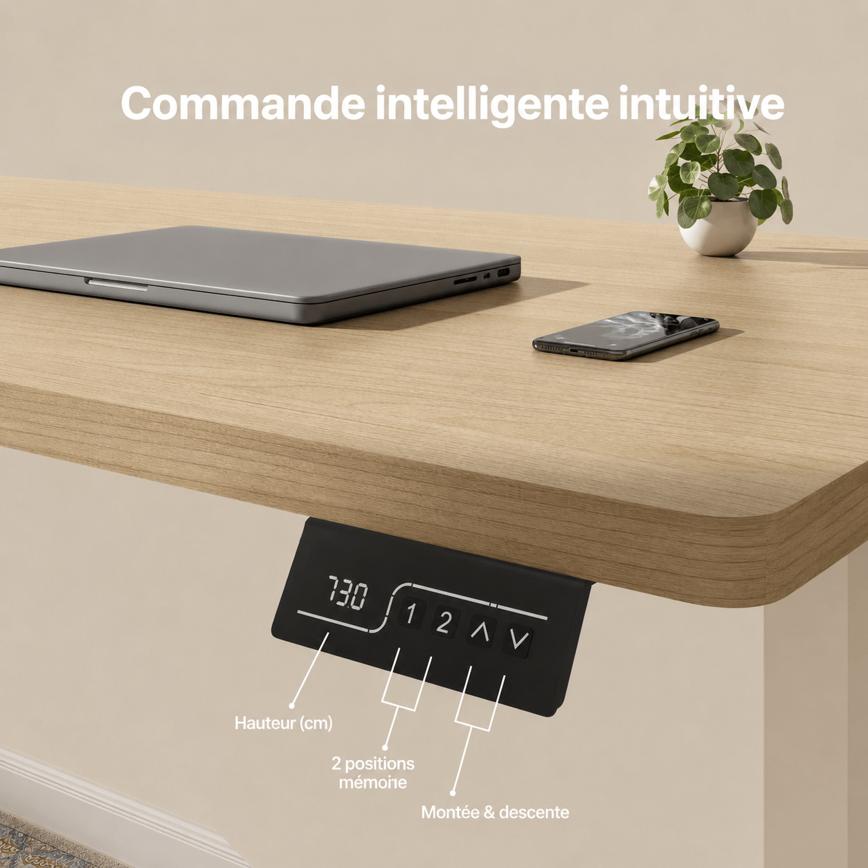 Bureau assis-debout électrique avec plateau monobloc