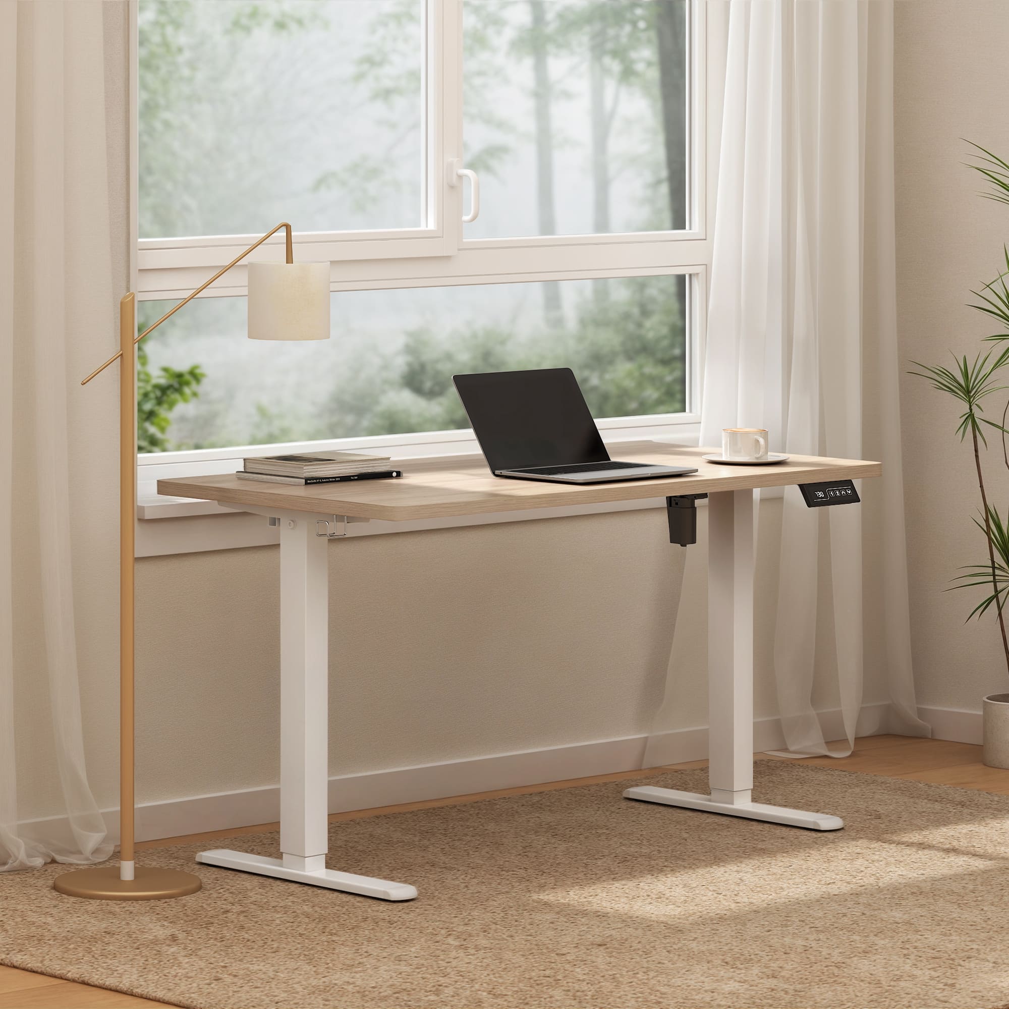 Economy Solid Bureau assis-debout électrique