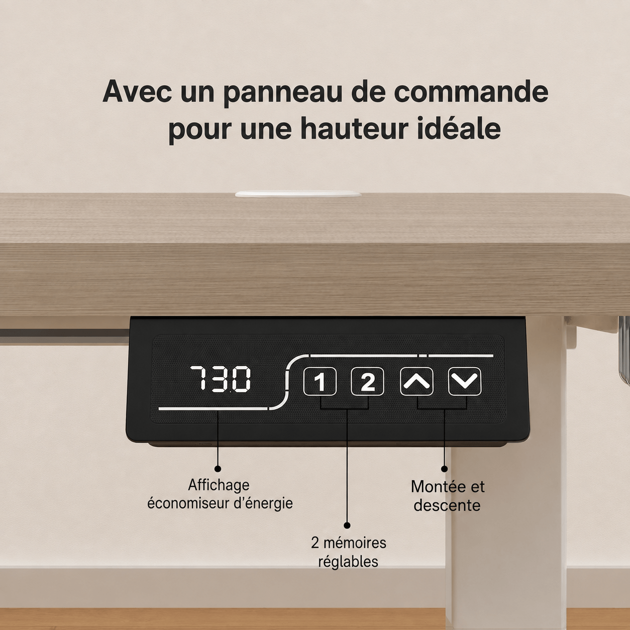 Economy Solid Bureau assis-debout électrique