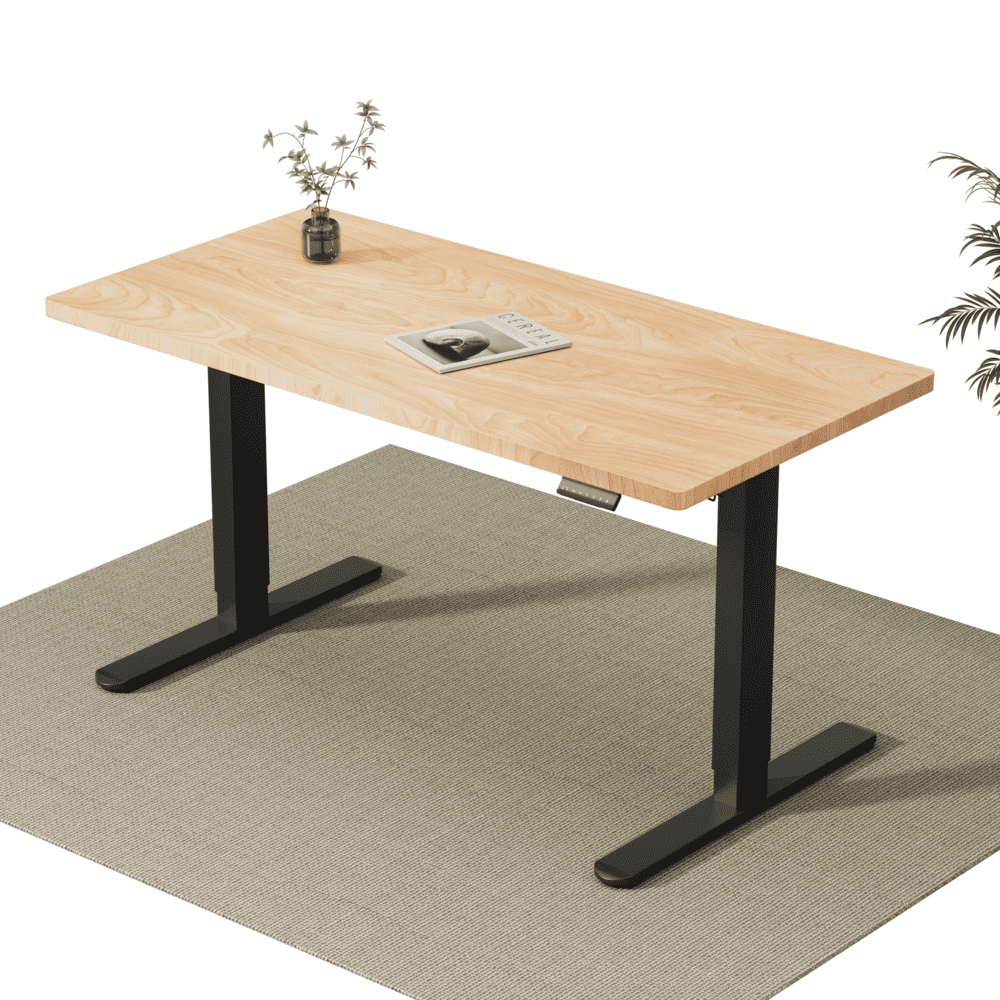 V2 Ultra Pro Bureau assis-debout électrique à double moteur