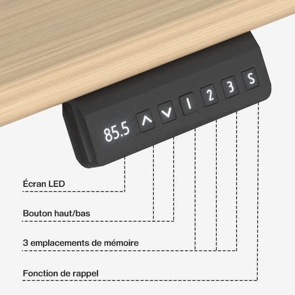 Double moteur Table réglable en hauteur