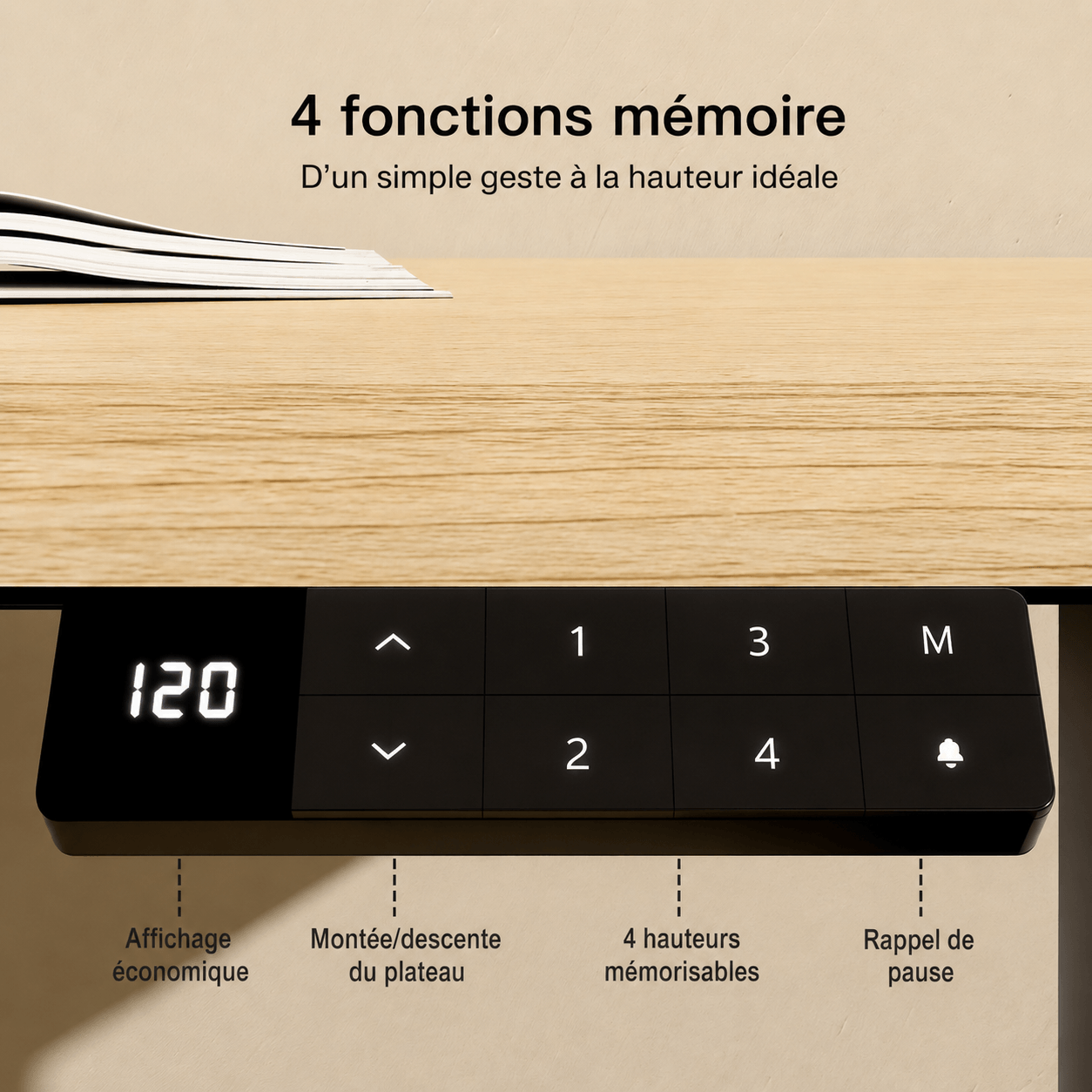 Dual Ultra Bureau assis-debout électrique premium