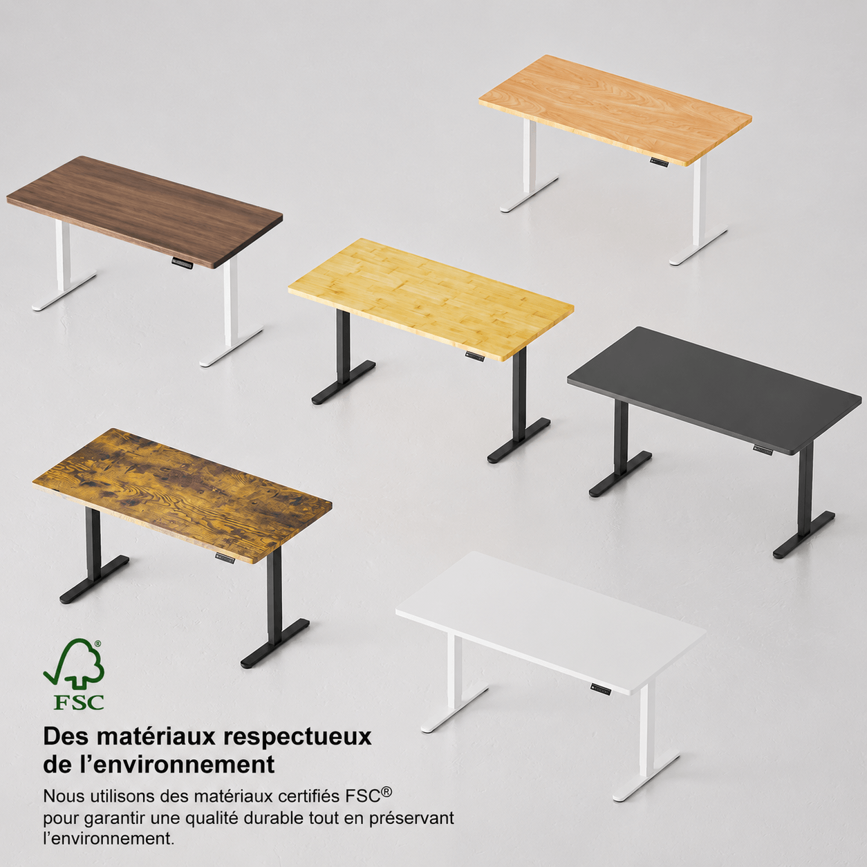 V2 Ultra Pro Bureau assis-debout électrique à double moteur