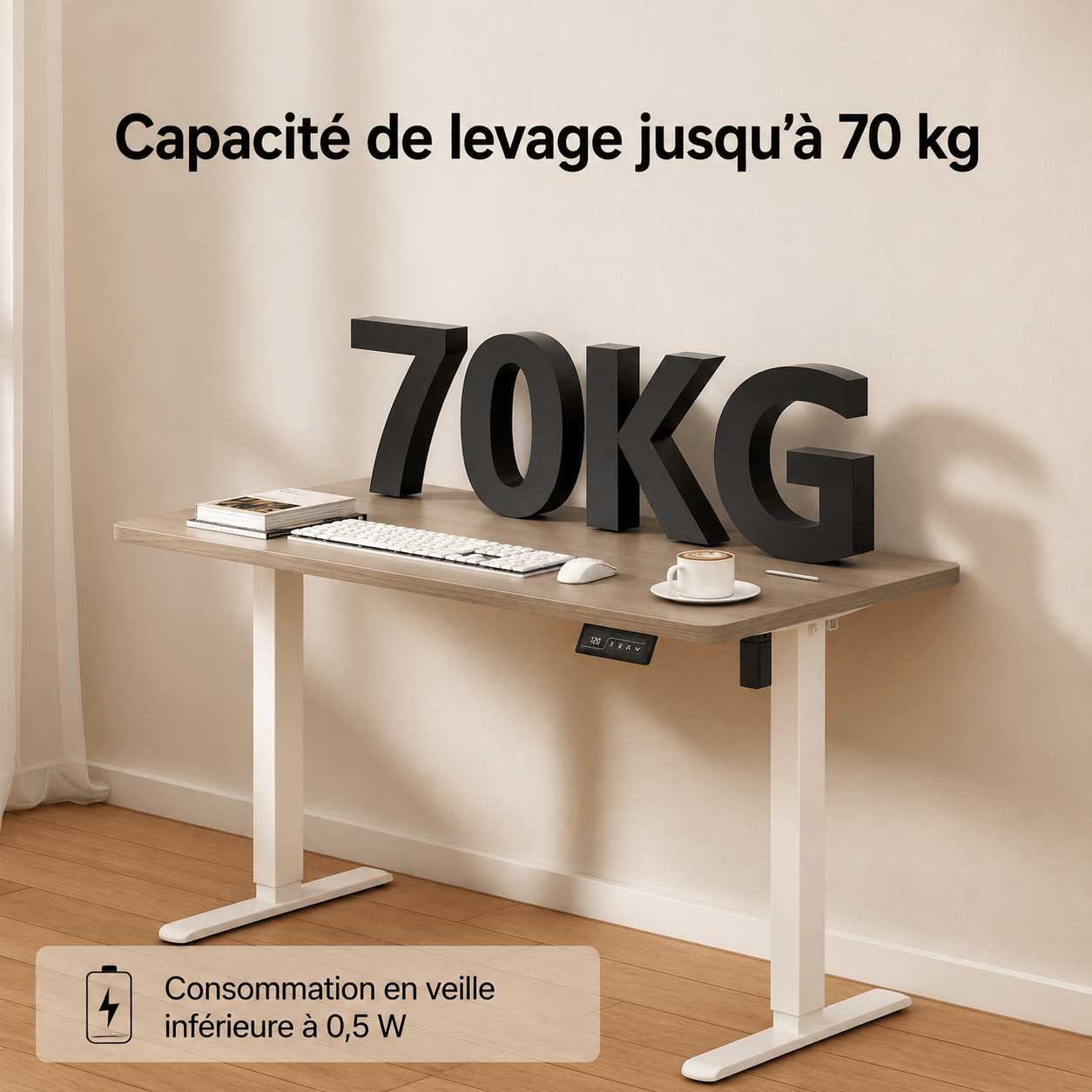 Economy Solid Bureau assis-debout électrique