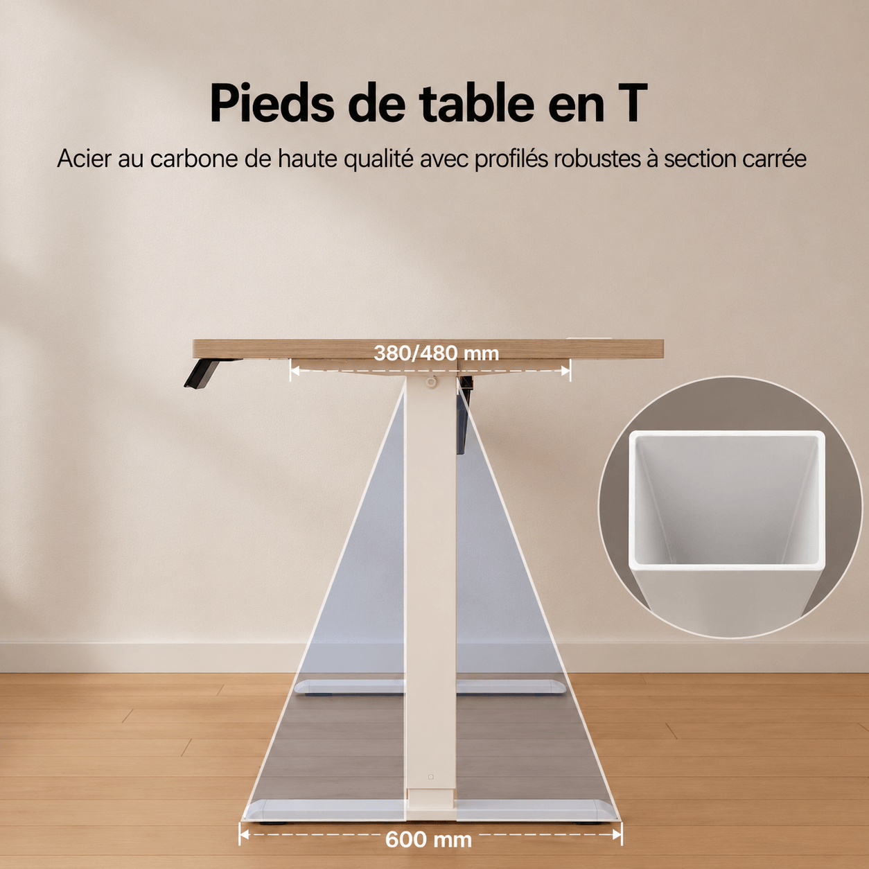Economy Solid Bureau assis-debout électrique