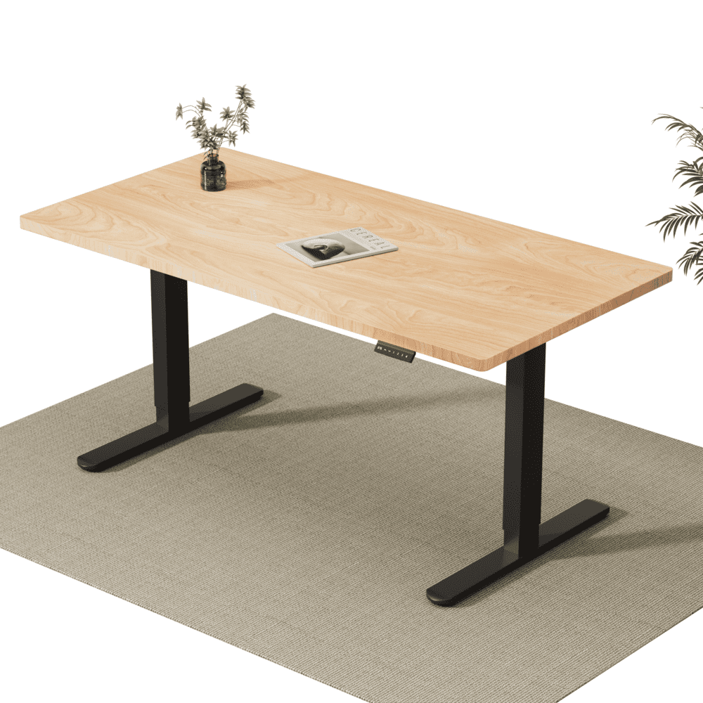V2 Ultra Pro Bureau assis-debout électrique à double moteur