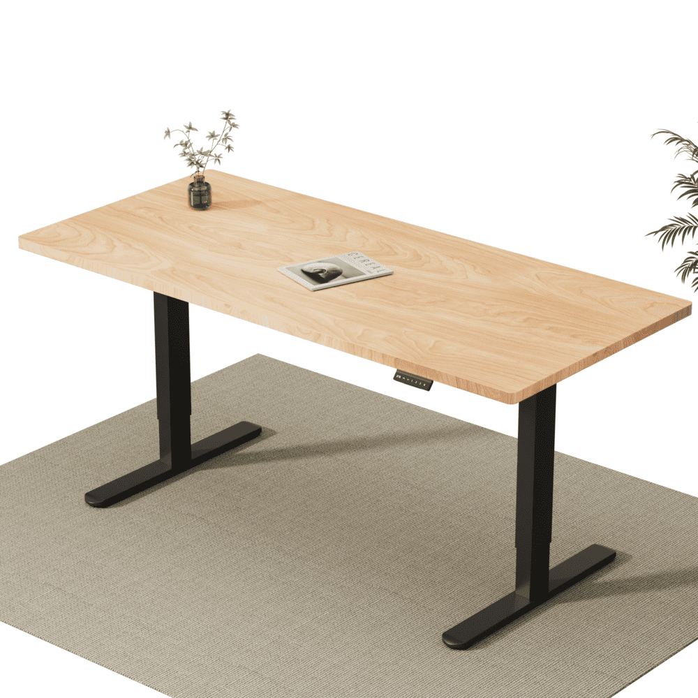 V2 Ultra Pro Bureau assis-debout électrique à double moteur